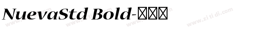 NuevaStd Bold字体转换